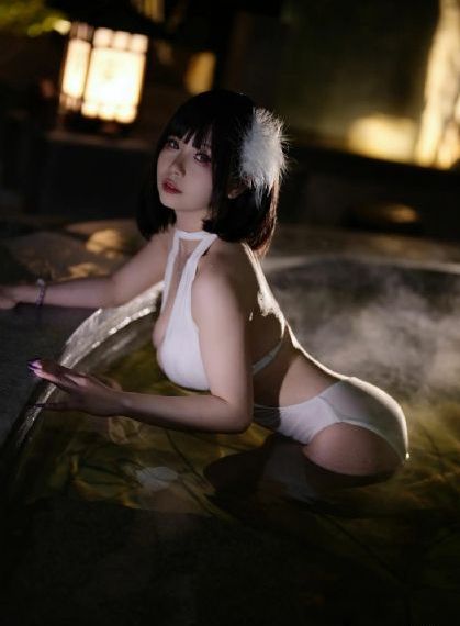 金装维尔梅