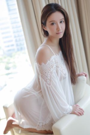 九重紫多少集